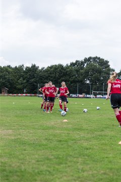 Bild 167 - Frauen SG NieBar - HSV 2 : Ergebnis: 4:3